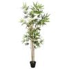 Product Thumbnail Image 2 of 5