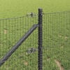 Product Thumbnail Image 4 of 16