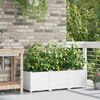 vidaXL Garden Planter 3 pcs White Plastic