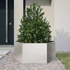 Product Thumbnail Image 2 of 10
