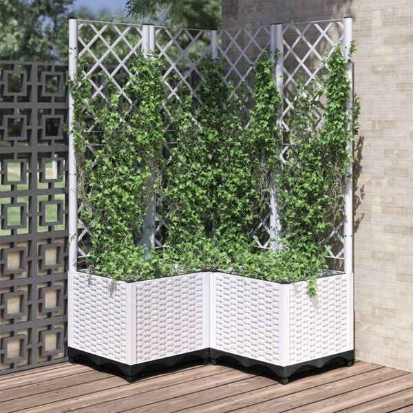 Showing Product Image 1 of 8