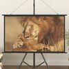 vidaXL Projection Screen 50" 16:9