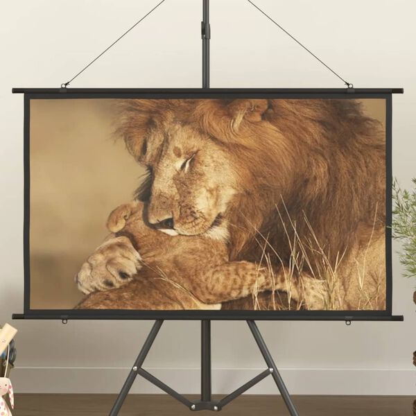 vidaXL Projection Screen 50" 16:9