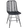 vidaXL Dining Chair 2 pcs Black 44.5 x 55 x 85 cm Rattan and Iron