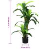 Product Thumbnail Image 5 of 5