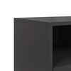 vidaXL TV Cabinet Black 100.5x39x43.5 cm Steel