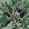 Product Thumbnail Image 6 of 9