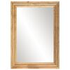 vidaXL Bathroom Mirror 50x70 cm Solid Wood Rough Mango and Glass