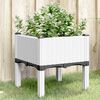 vidaXL Garden Planter with Legs White 40x40x42 cm PP