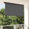 vidaXL Outdoor Roller Blind Striped Anthracite 200 x 250 cm Fabric