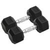 vidaXL Dumbbells 2 pcs 16 kg Total Cast Iron