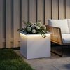 Product Thumbnail Image 3 of 12