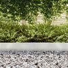 vidaXL Lawn Edging Silver 450 x 0.05 x 15 cm Stainless Steel