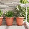 Product Thumbnail Image 2 of 12