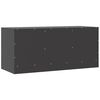 vidaXL TV Cabinet Black 99x39x44 cm Steel