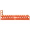 Product Thumbnail Image 5 of 12