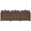 Product Thumbnail Image 7 of 9
