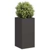 Product Thumbnail Image 2 of 9