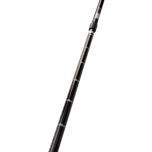 Abbey Hiking Canes 2 pcs Black Aluminium 21SR-ZRG-Uni