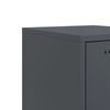 vidaXL Bedside Cabinet Anthracite 36x39x78 cm Steel
