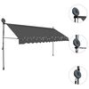 vidaXL Manual Retractable Awning with LED 350 cm Anthracite