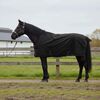 vidaXL Horse Blanket Full Black 105 cm Polyester