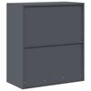 vidaXL Storage Cabinet Anthracite 80 x 40 x 90 cm Steel
