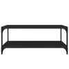 vidaXL TV Cabinet Black 100x33x41 cm Engineered Wood and Steel