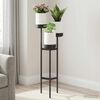 Product Thumbnail Image 2 of 6