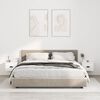 Product Thumbnail Image 2 of 11