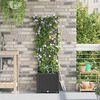 Product Thumbnail Image 3 of 10