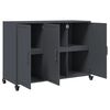 vidaXL Sideboard Anthracite 100.5x39x72 cm Steel