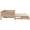 vidaXL Daybed with Trundle and Drawers without Mattress 80x200 cm