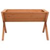 Product Thumbnail Image 2 of 5