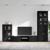 vidaXL TV Cabinet Set with Drawer FLORIN Black Engineered Wood