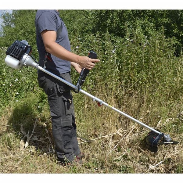 ELEM Garden Technic 2-in-1 Petrol Brush Cutter 43 CC