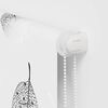 Product Thumbnail Image 6 of 15