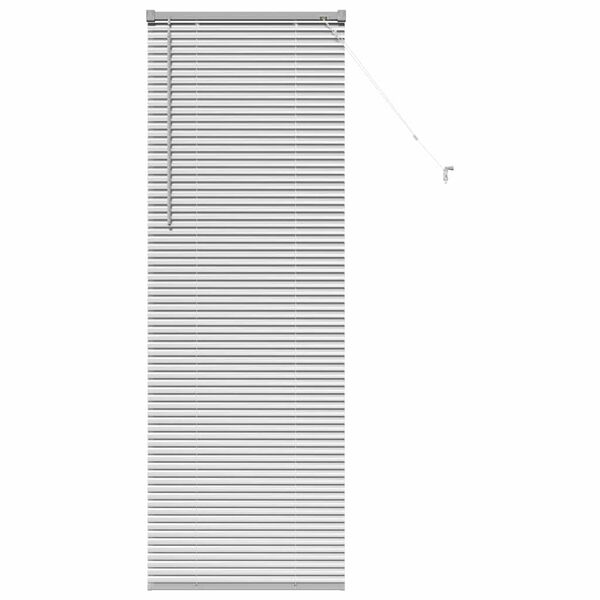 vidaXL Window Blind with Curtains Manual Silver Aluminium