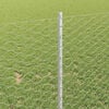 Product Thumbnail Image 4 of 14