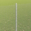 Product Thumbnail Image 4 of 17