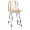 vidaXL Bar Chair 2 pcs Natural 44.5 x 54.5 x 97.5 cm Rattan and Iron