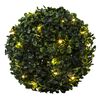 HI Boxwood Ball with LED Diameter 25 cm