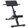 vidaXL Hyperextension Bench Black 101 x 70 x 71 cm Powder-coated steel