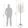 Product Thumbnail Image 7 of 7