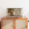 vidaXL Terrarium with Storage Transparent 50 x 30 x 30 cm Glass