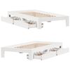 Product Thumbnail Image 9 of 12