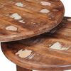vidaXL Nesting Coffee Tables 2 pcs Multicolour Solid Reclaimed Wood
