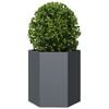 Product Thumbnail Image 8 of 10