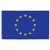 vidaXL Europe Flag and Pole 6.08 m Aluminium