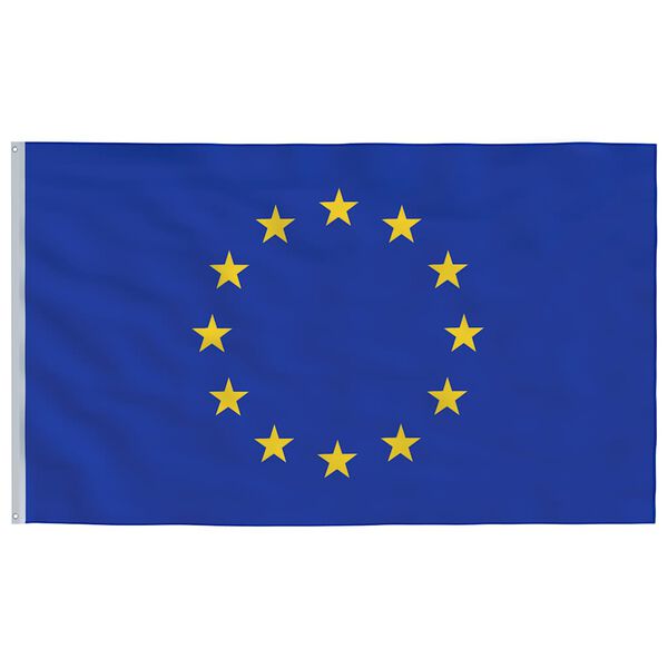 vidaXL Europe Flag and Pole 6.08 m Aluminium